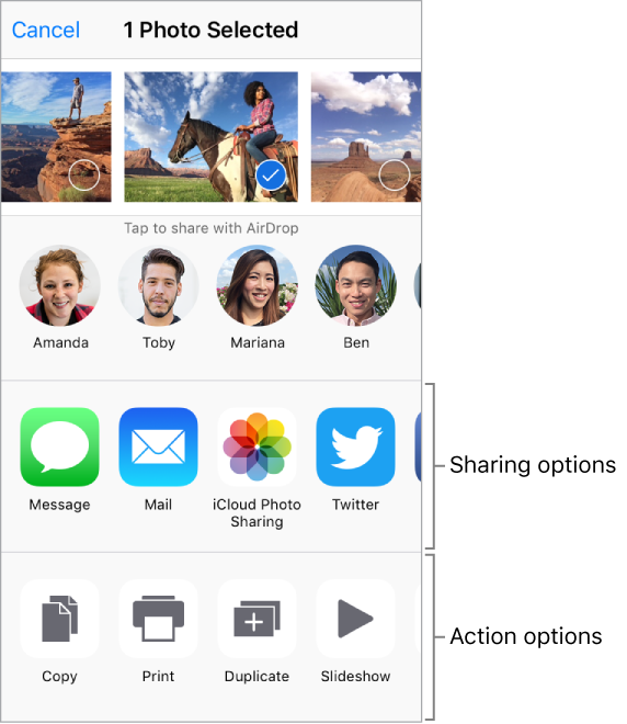 The Share screen. At the top are photos of nearby friends that you can share with using AirDrop. Below that are buttons for sharing including Mail, Twitter, Facebook, and Message. Along the bottom are buttons for actions including Add Bookmark and Add to Reading List