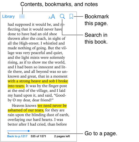A page of a open book. Across the top are, from left-to-right, the Library button, the table of contents button, the screen brightness button, the search button, and the bookmarks button. Along the bottom are thumbnails of the pages in the book.