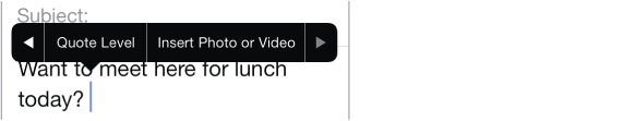A message being composed. Tap the insertion point to see the style menu, then tap Insert Photo or Video to attach an item to the message.