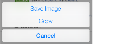 The menu that appears when you touch and hold a photo, including Save Image, Copy, and Cancel.