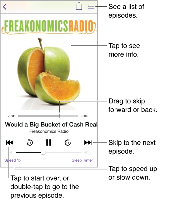 Use the controls on the playback screen to play or pause, skip to the next or previous episode, skip forward or back 15 seconds, skip to a different time in the episode, change playback speed, set a sleep timer, or see a list of other episodes.
