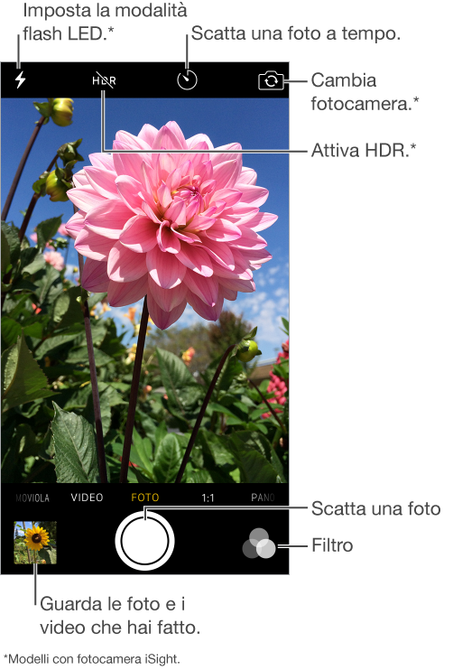 Fotocamera in modalità Foto. Scorri lo schermo a destra o a sinistra per passare da una modalità all’altra. I pulsanti della modalità flash, Auto HDR, Live Photo, Timer e “Cambia fotocamera” sono visualizzati nella parte superiore. Tocca la miniatura in basso a sinistra per visualizzare le foto e i video che hai fatto. Il pulsante “Scatta Foto” è al centro in basso. Il pulsante Filtri è in basso a destra. Il badge HDR sulla foto indica che la funzione HDR è in uso.