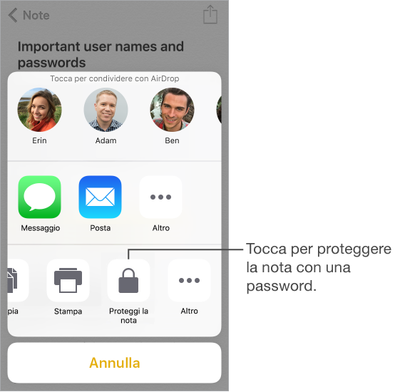 Il pannello azione con una didascalia che indica l’opzione “Aggiungi password” e il cui testo dice “Tocca per aggiungere una password alla nota”.