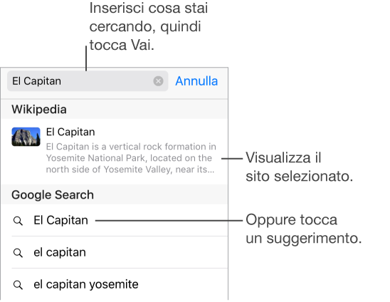 Quando iscrivi nel campo Indirizzo, sotto al campo vengono elencati dei suggerimenti per le frasi di ricerca. In fondo all’elenco si trova una voce per cercare sulla pagina attuale. Tocca un suggerimento per cercarlo, oppure tocca il pulsante Vai sulla tastiera per cercare esattamente ciò che hai scritto.