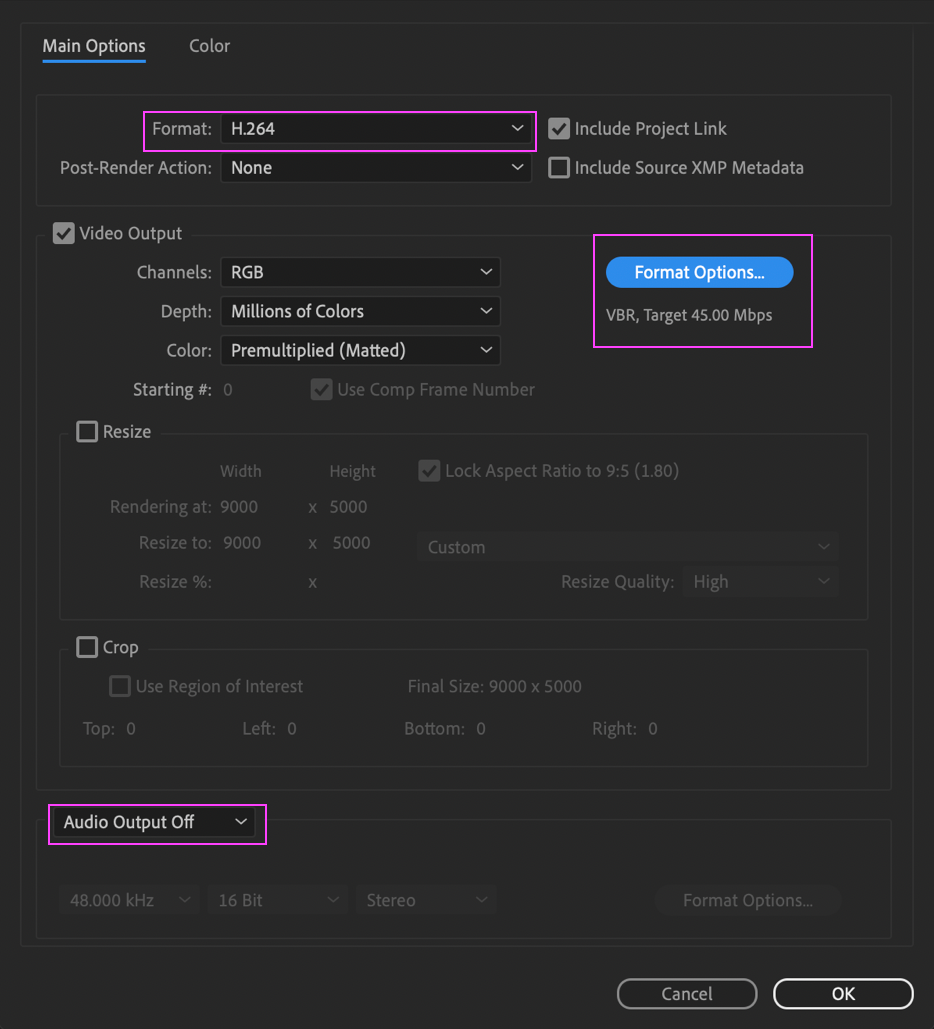 After Effects settings showing the correct format and audio output selected.