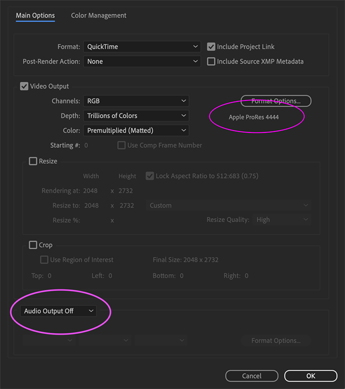 After Effects settings showing Apple ProRes 4444 selected and Audio Output off.