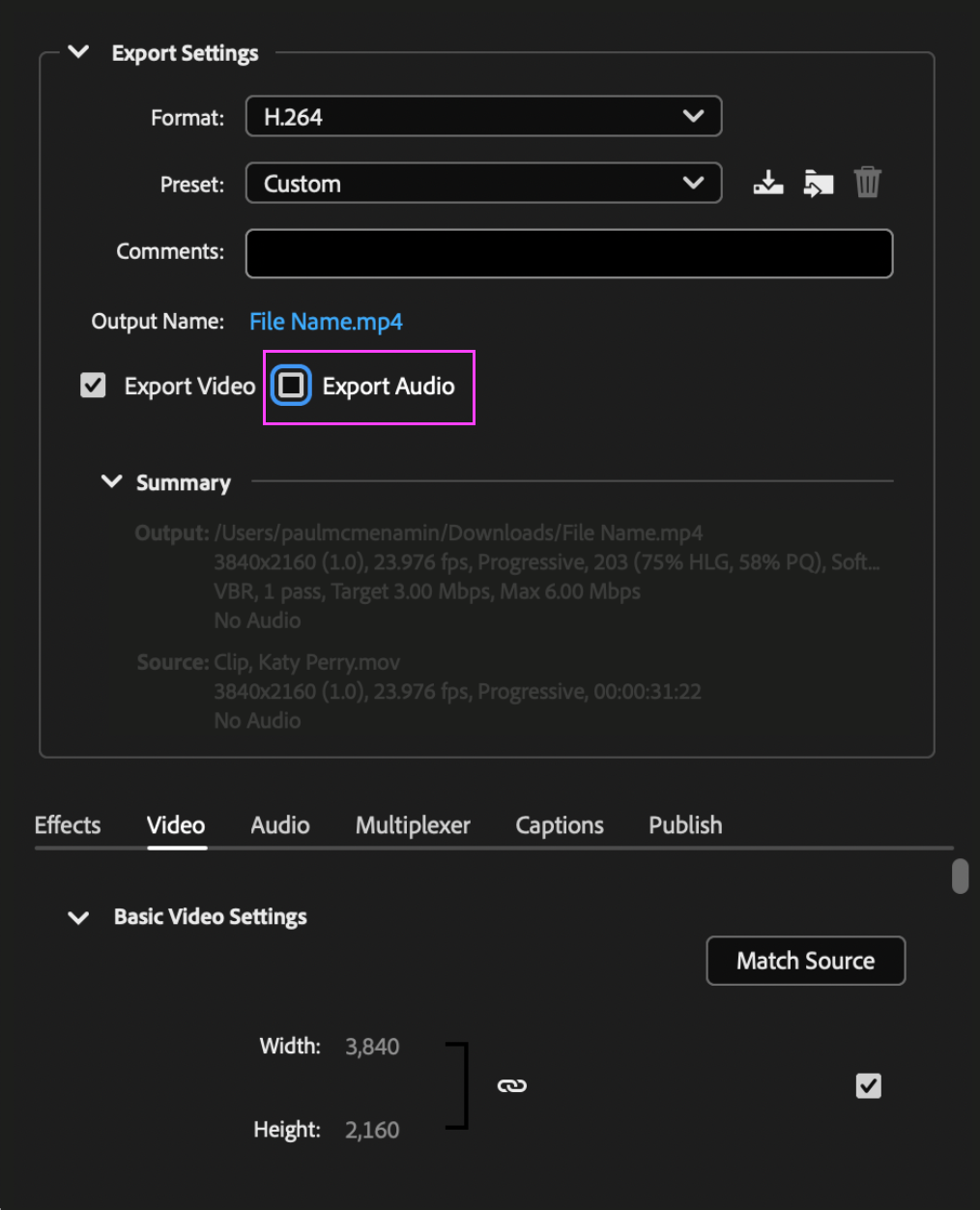 Premiere or Media Encoder settings showing the Export Audio box deselected.