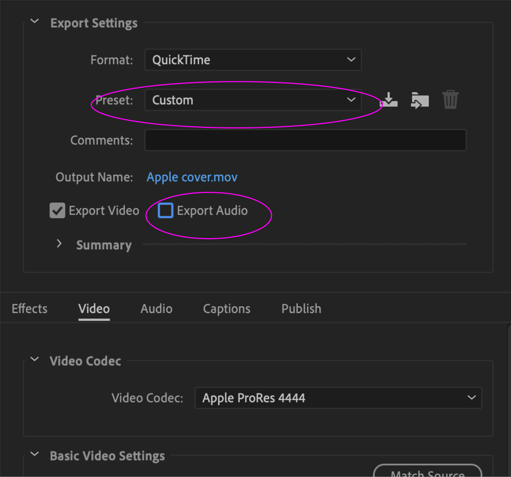 Premiere or Media Encoder settings showing the Export Audio box deselected.