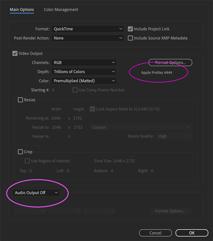 After Effects 的“视频输出”设置中显示已选择“Apple ProRes 4444”和“关闭音频输出”。