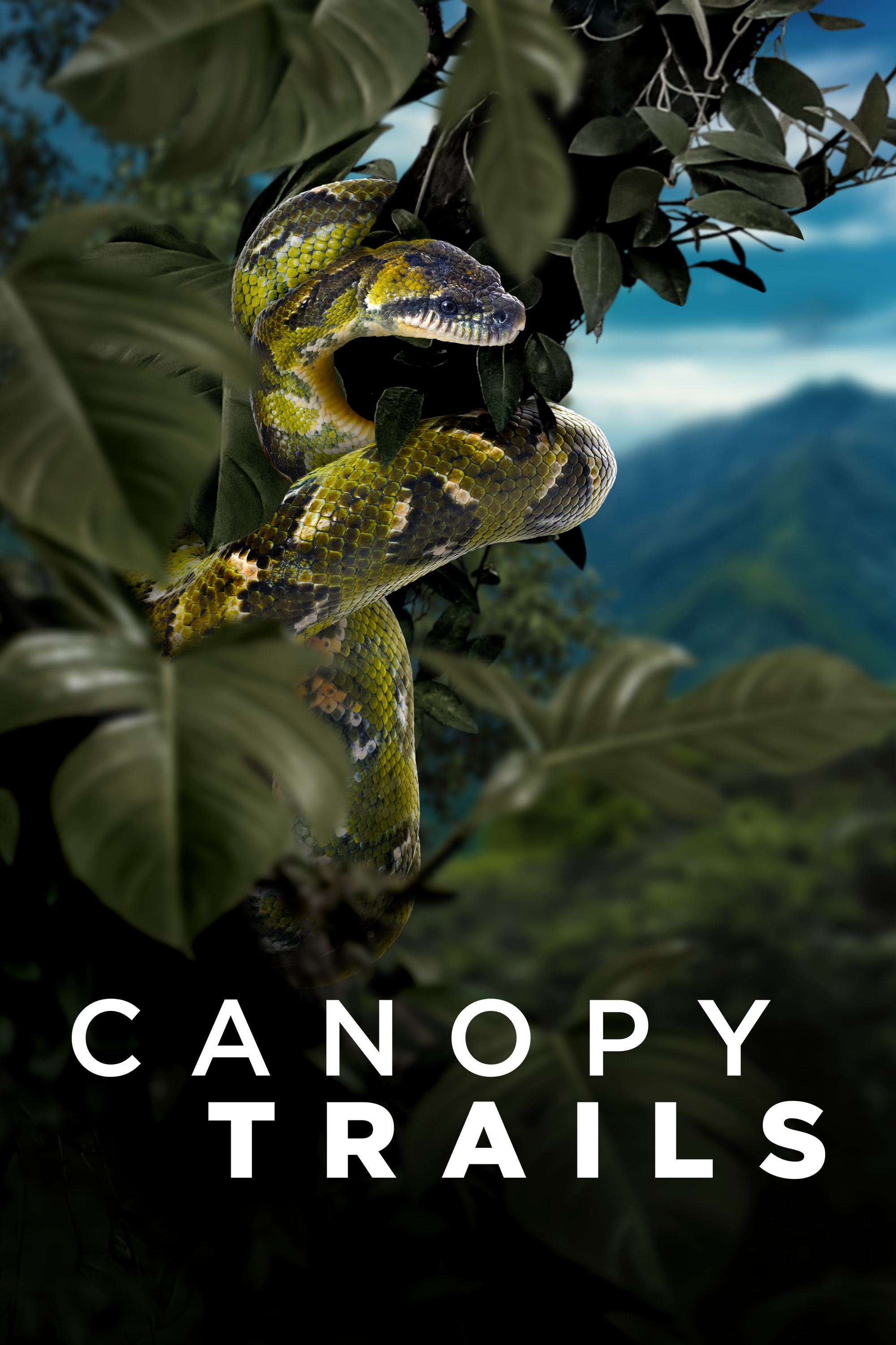 Example of poster art