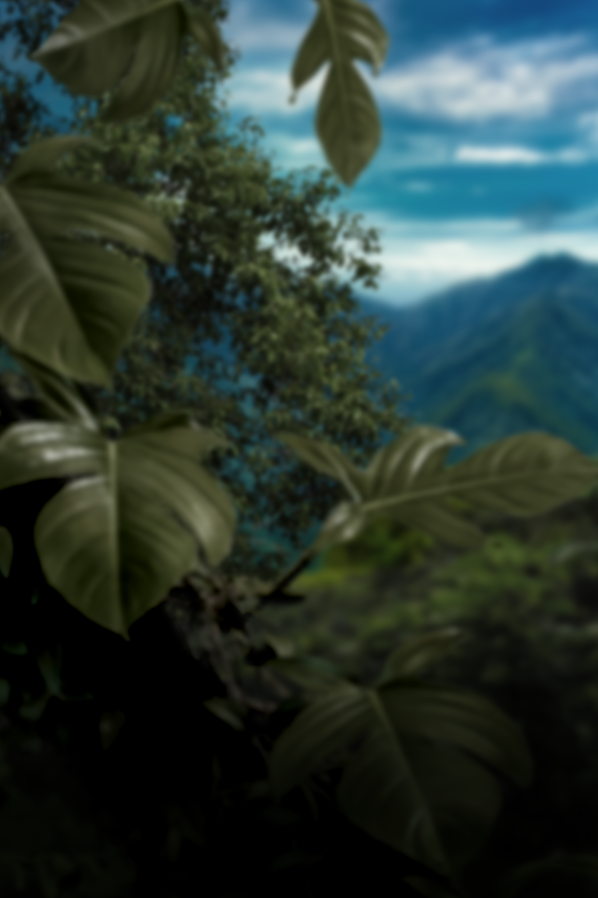 Background image filling the canvas