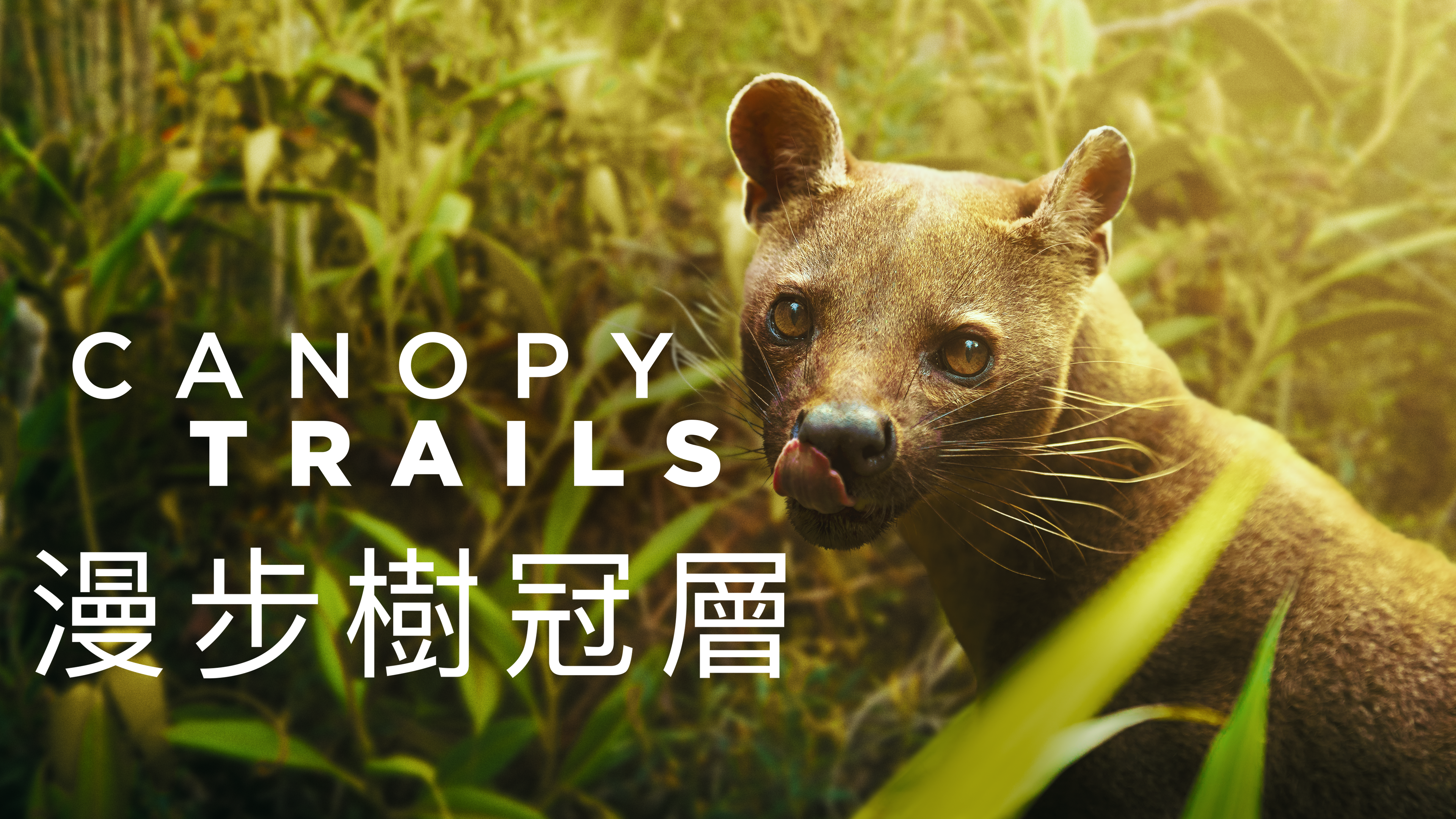16:9 artwork in Taiwanese with title