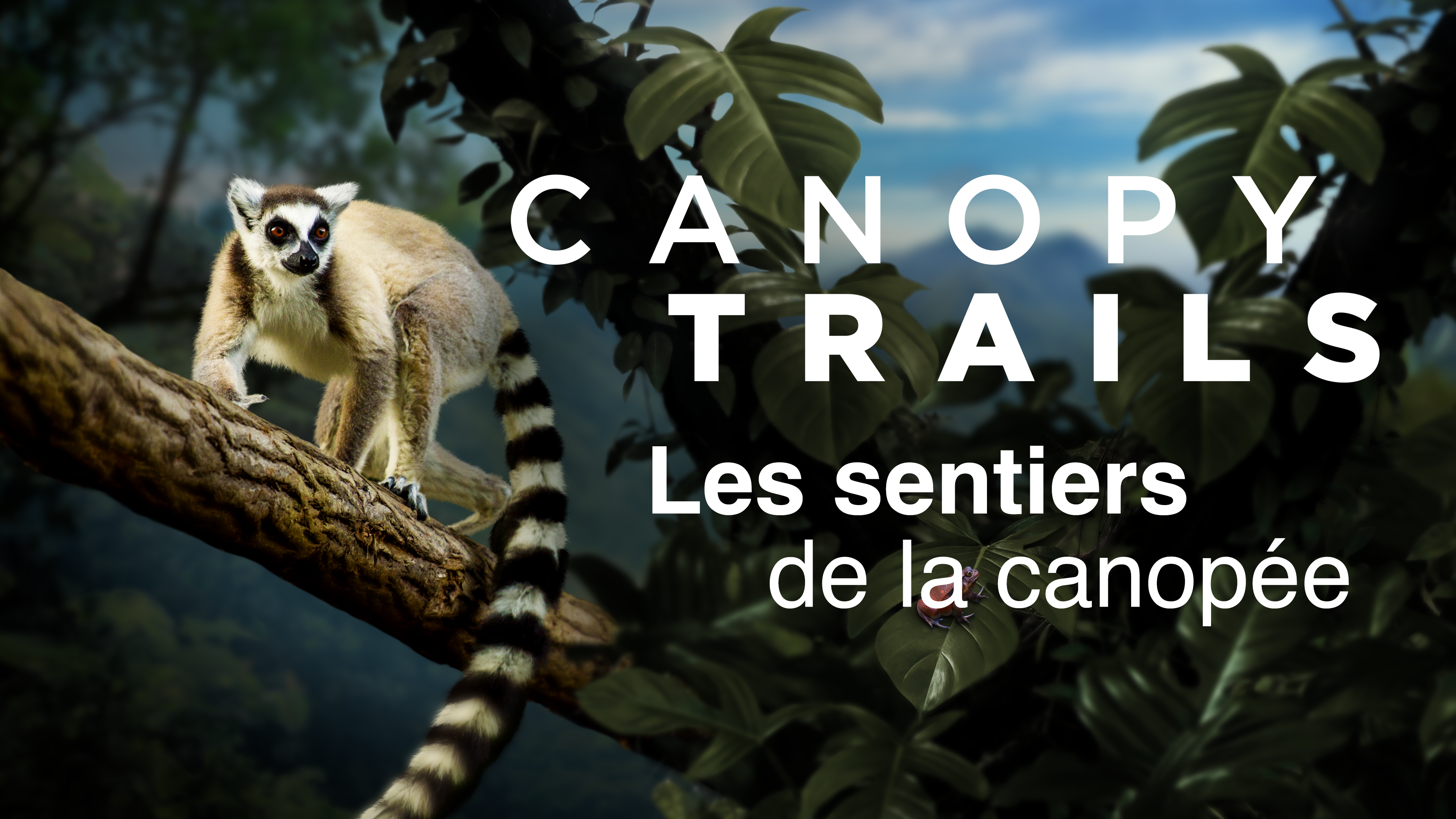 16:9 artwork in French with title