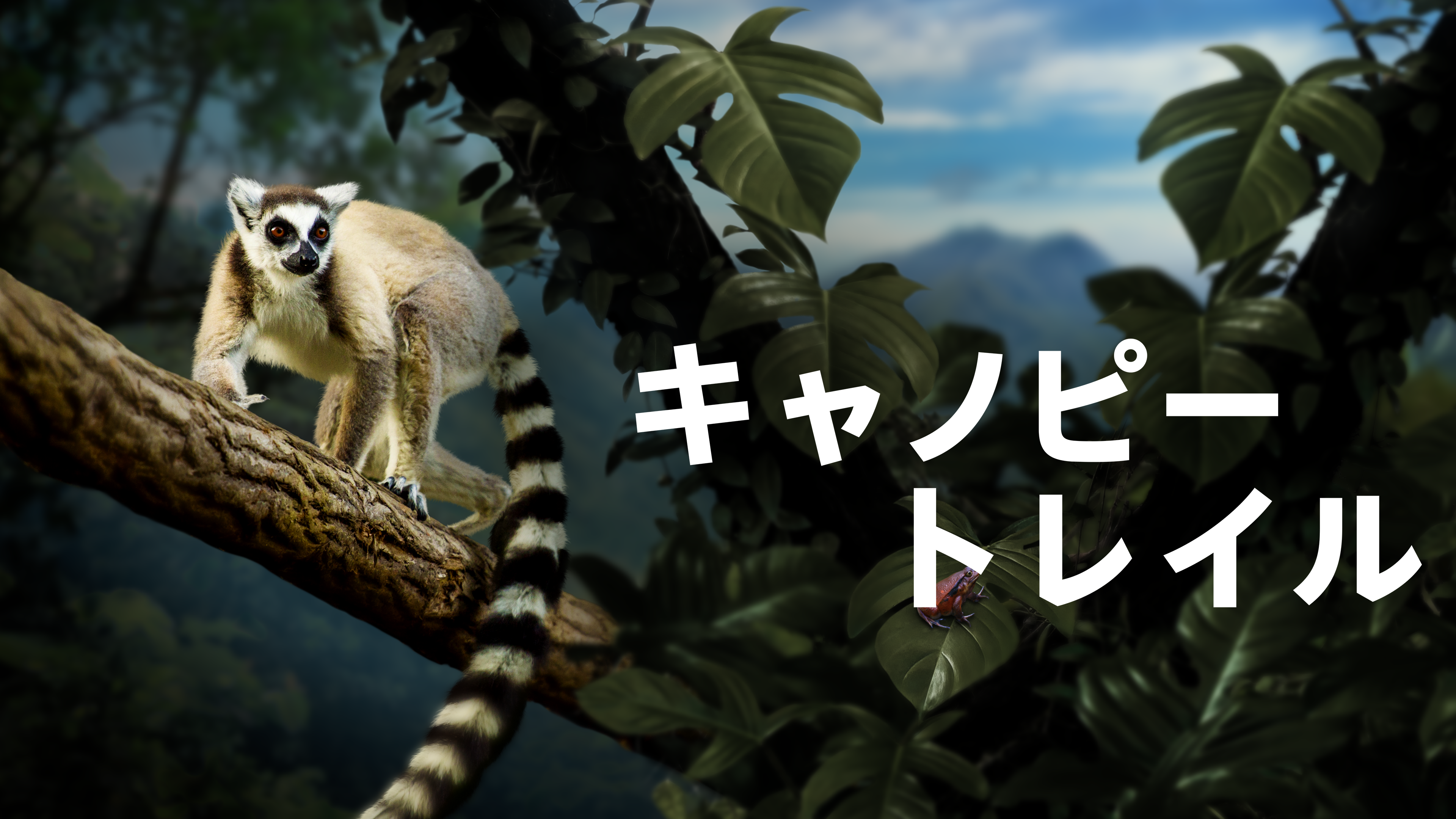 Japanese 16:9 Poster Art artwork
