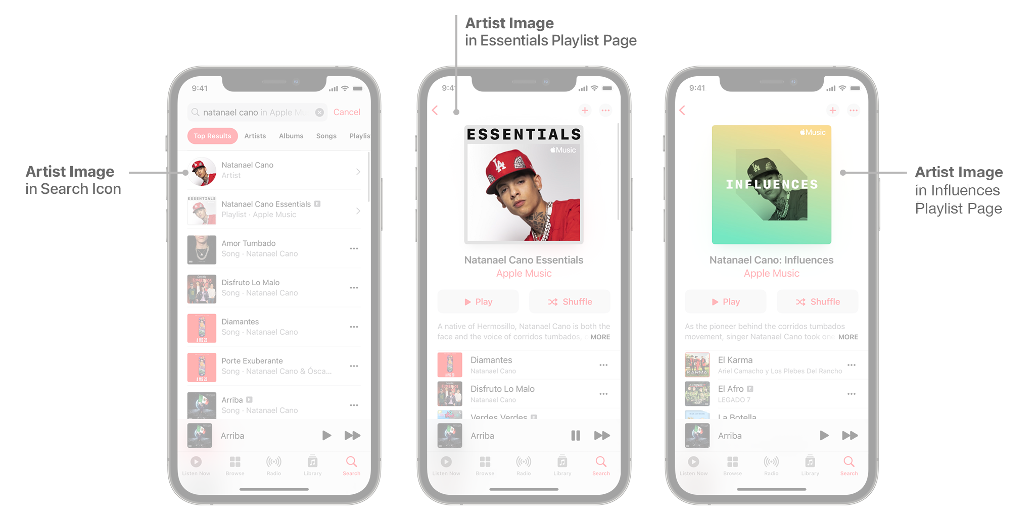 Examples displaying where an Artist Image appears on Apple Music, including in a search icon, Essentials cover, and Influences cover.