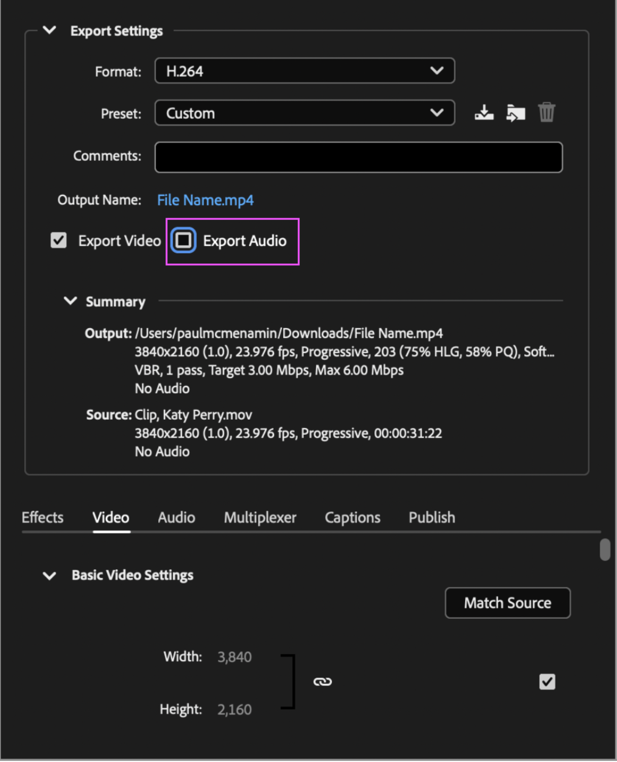 Premiere or Media Encoder settings showing the Export Audio box deselected.