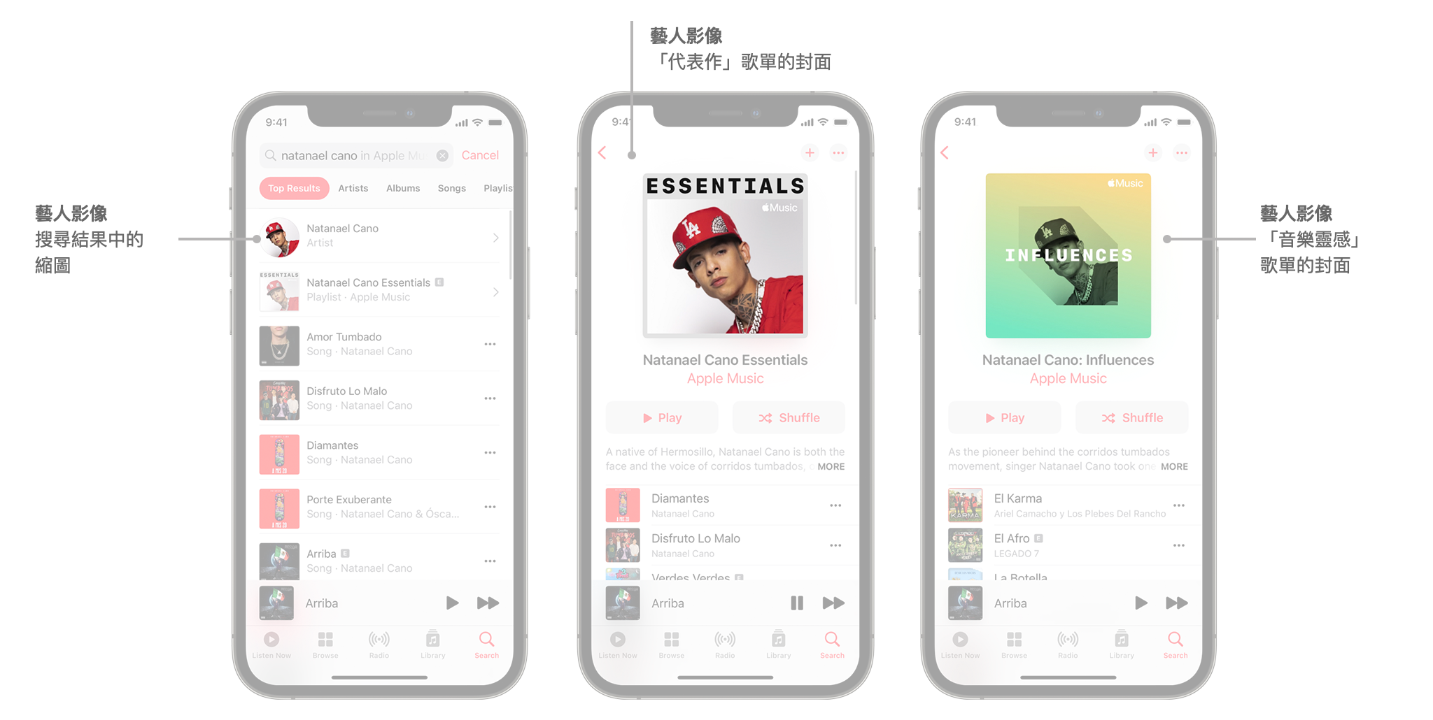 藝人影像在 Apple Music 上顯示的位置範例,包括搜尋結果、「代表作」封面和「音樂靈感」封面。