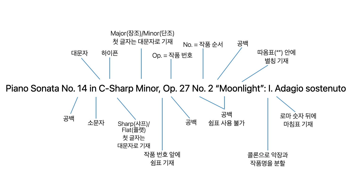 클래식 작품의 악장 제목의 형식 지정에 대한 예시.