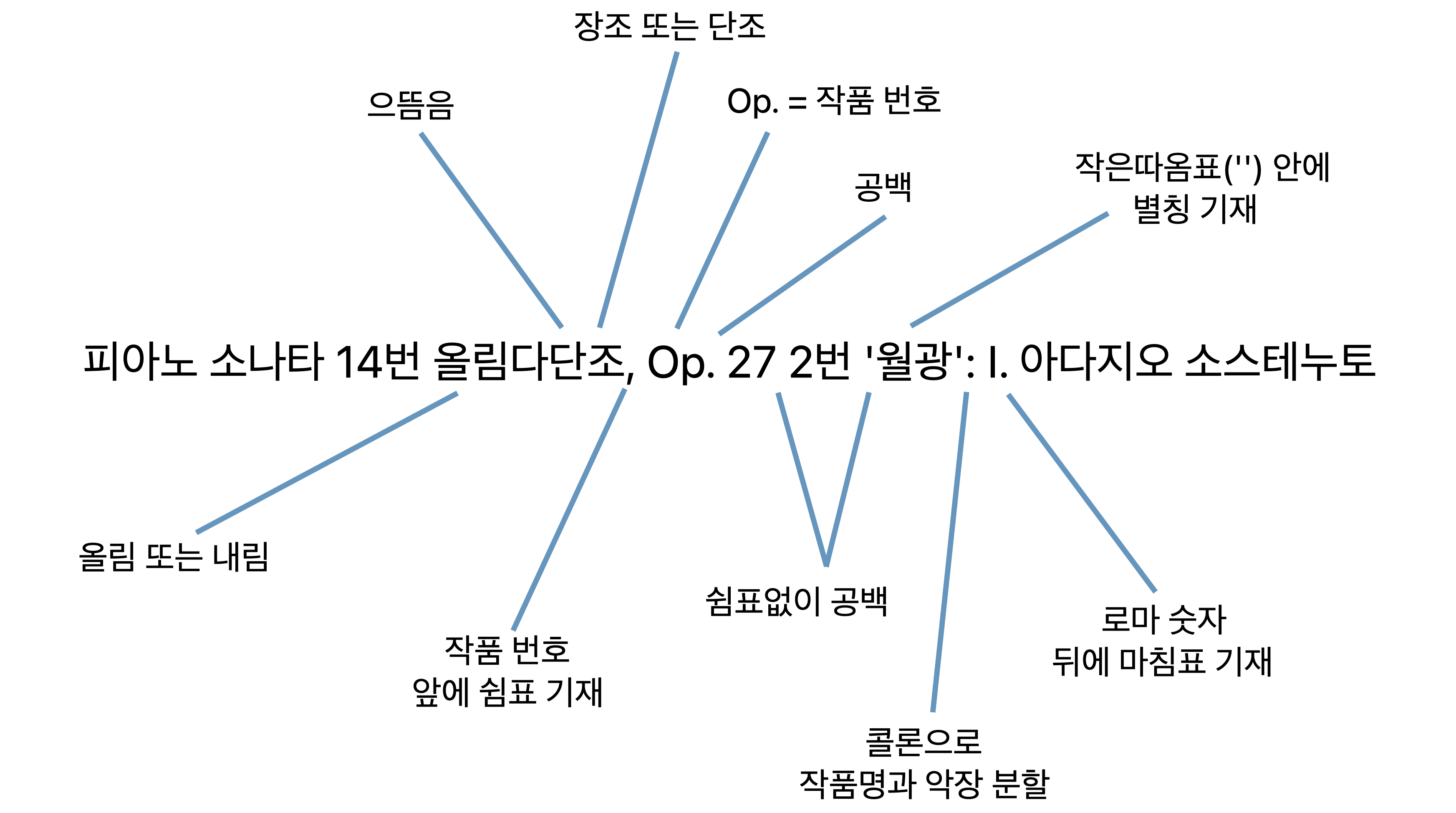 클래식 작품의 악장 제목 형식 지정에 대한 예시.