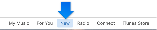 The New tab in the navigation bar