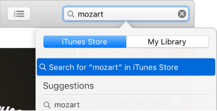 The search field for iTunes Store