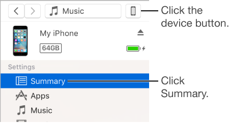The device button at the top of the iTunes window and Summary selected in the sidebar on the left.