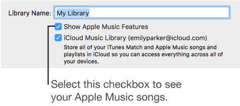 The iCloud Music Library checkbox in General Preferences