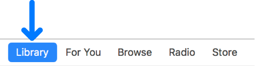 The Library button in the navigation bar.