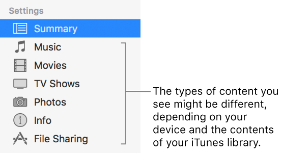 Summary is selected in the sidebar on the left. The types of content that appear might vary, depending on your device and the contents of your iTunes library.