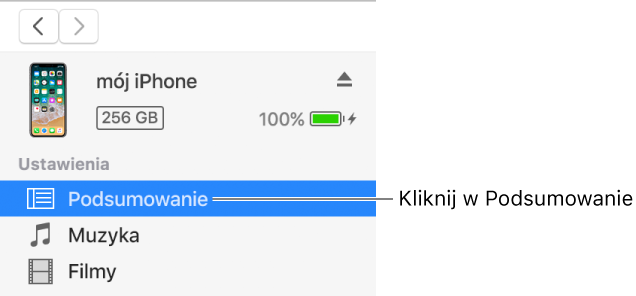 Okno Urządzenie z zaznaczoną na pasku bocznym po lewej stronie opcją Podsumowanie.