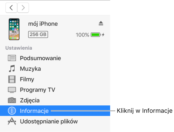Okno Urządzenie z zaznaczoną na pasku bocznym po lewej stronie opcją Informacje.