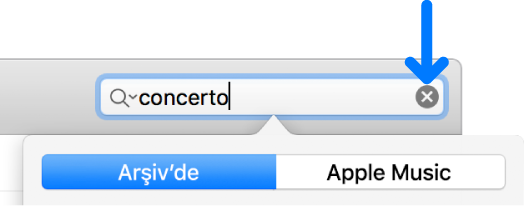 Metnin girildiği ve sağ tarafında Sil düğmesi olduğu görünen arama alanı görüntüsü.