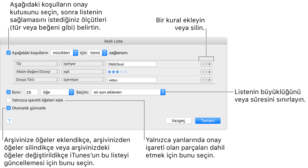 Akıllı Liste penceresi: Sol üst köşede Match’i seçin ve ardından liste kriterlerini (tür veya beğeni düzeyi gibi) belirleyin. Sağ üst köşedeki Ekle veya Sil düğmelerini tıklayarak kural eklemeye veya silmeye devam edin. Pencerenin alt kısmında listenin boyutunu ve süresini sınırlandırma, yalnızca denetlenen parçaları ekleme veya arşivinizdeki öğeler değiştikçe iTunes’un listeyi güncellemesini sağlama gibi birçok seçenek arasından dilediğinizi belirleyin.