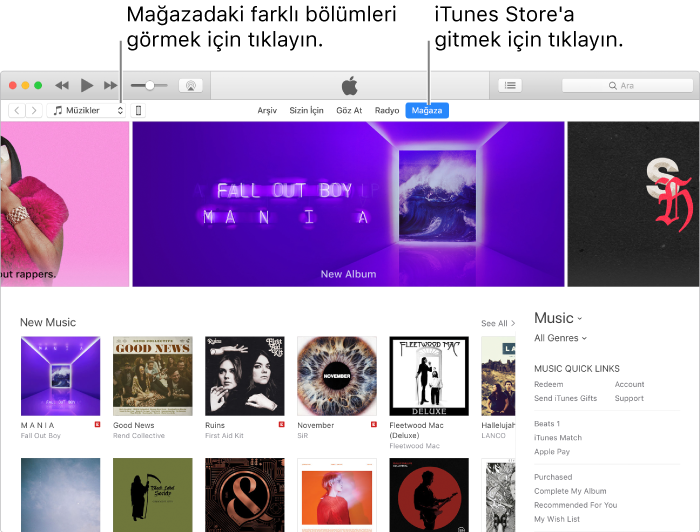 iTunes Store ana penceresi: Gezinme çubuğunda Store vurgulanır. Sol üst köşede Store’da görüntülenmesini istediğiniz farklı içerikleri (Müzik veya TV gibi) görüntülemeyi seçin.
