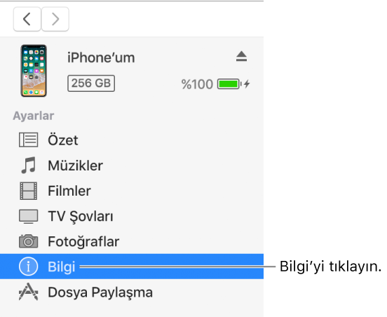 Soldaki kenar çubuğunda Bilgi’nin seçili olduğu Aygıt penceresi.