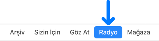 Gezinme çubuğundaki Radyo düğmesi.