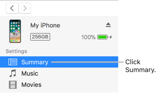 The Device window, with Summary selected in the sidebar on the left.