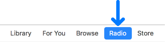 The Radio button in the navigation bar.