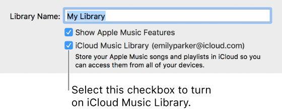 The iCloud Music Library checkbox in iTunes General Preferences.