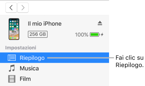 La finestra Dispositivo, con la voce Riepilogo selezionata nella barra laterale a sinistra.