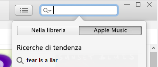 Campo di ricerca di Apple Music.