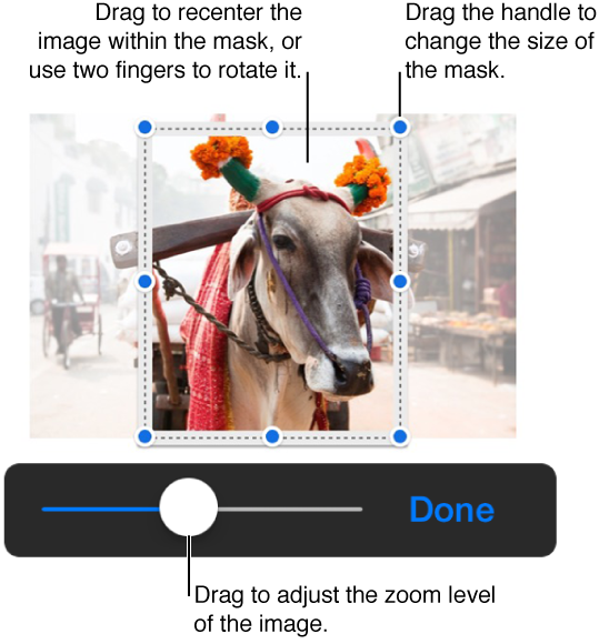 Mask controls over a photo