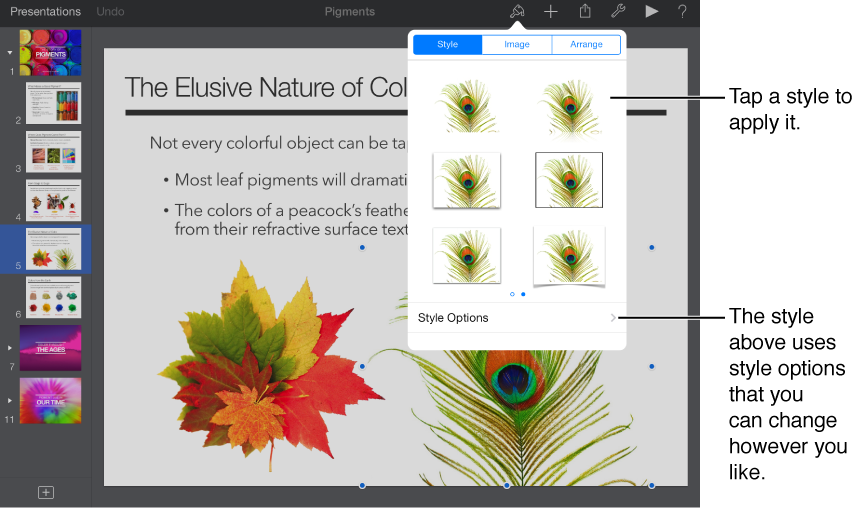 Main window with format inspector open