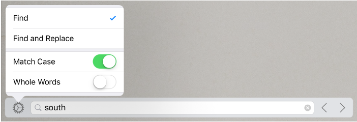 The search options window with Find, Find and Replace, Match Case, and Whole Words