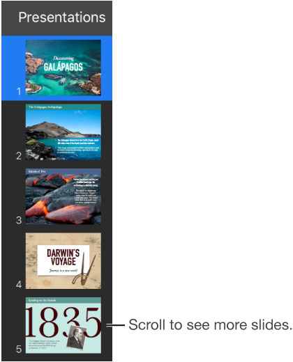 The slide navigator.