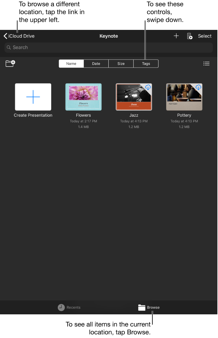 The presentation manager.