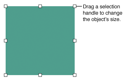 Object with selection handles