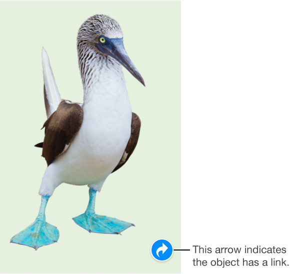 A link indicator on an image