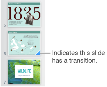 A blue triangle on a slide indicates the slide has a transition.