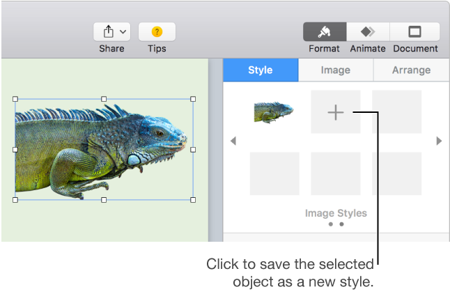 The menu of image styles with the Add button, and an image selected